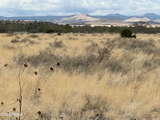 0 E Highway 60 Unit 255816, Springerville, AZ 85938
