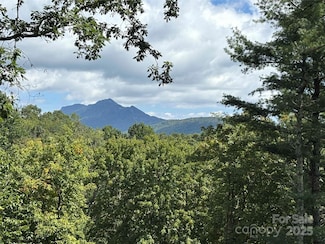 TBD Linhigh Dr Unit 66, Montezuma, NC 28657