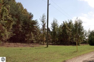 6.47 Sugarbush Rd, Torch Lake Township, MI 49648