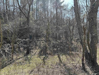 TBD Walkers Creek Valley Rd, Pearisburg, VA 24134