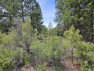 00 Pine Ridge Loop Unit Lot 7, Chiloquin, OR 97624
