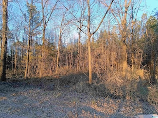 00 Zubers Rd, Sylacauga, AL 35150