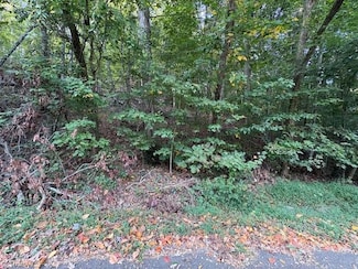 TBD Holly Tree Dr, Wilkesboro, NC 28697