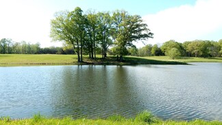 1070 Egypt Creek Rd, Sarah, MS 38665