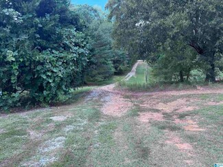 0 Highway 39 Unit 21399246, Chelsea, AL 35043