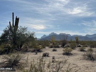 1275 557th Ave Unit 128, Tonopah, AZ 85354