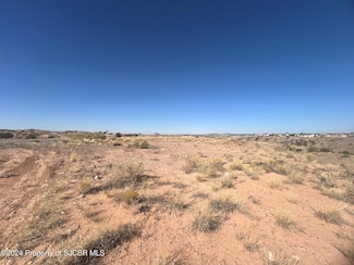 LOT 259A Road 3778, Farmington, NM 87401