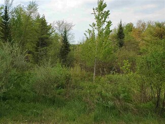 Lot G & H Talbert Hill Rd, Canaan, NH 03741