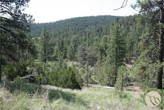 lot 82 Cougar Trail, Reed Point, MT 59069