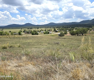 410-4 Rolling Hills Rd Unit 4, Young, AZ 85554