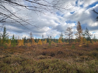 V/L Cadillac Dr, Freeman Township, MI 48632