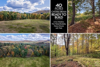 0 Elk Creek Rd, East Meredith, NY 13806
