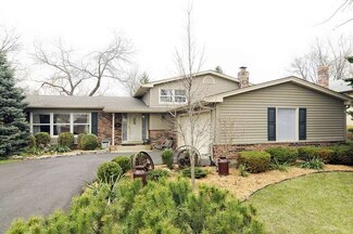 614 W Hackberry Dr, Arlington Heights, IL 60004
