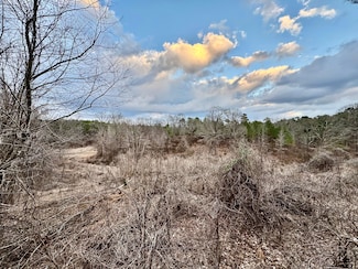 0 Hardaway Chapel Rd, Michigan City, MS 38647