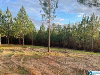 220 Saddlewood Trails Pkwy Unit 1, Columbiana, AL 35051