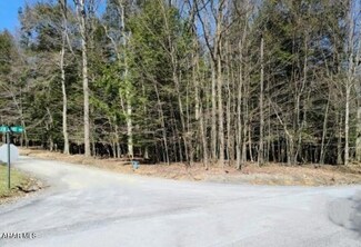 300 Kibler Lake Rd, Flinton, PA 16640