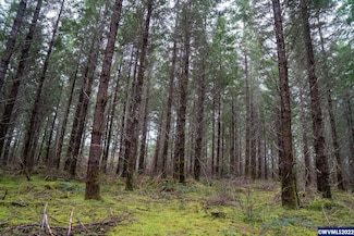 NA Green Peak Rd, Monroe, OR 97456