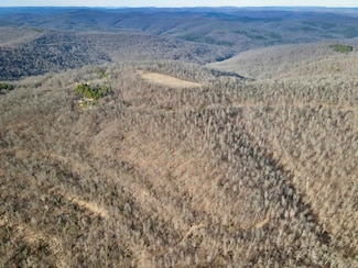 000 Highway 7, Dover, AR 72837