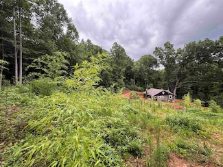 8875 N Tigerville Rd, Travelers Rest, SC 29690