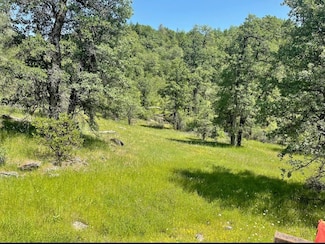 0 Montgomery Creek Falls Rd Unit 225055600, Montgomery Creek, CA 96065