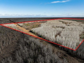 TBD County Road 60, Grand Rapids, MN 55744