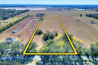 0 County Road 479, Lake Panasoffkee, FL 33538