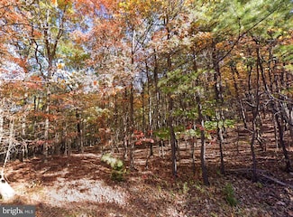 00 Baldwin Rd, Front Royal, VA 22630