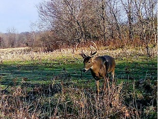 0 County Highway 7 Unit Lot WP001, Jeffersonville, IL 62842