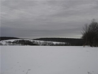 NO# W Centerville Rd, Rushford, NY 14777
