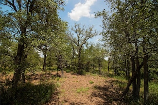 9412 Sycamore Shade Ln, Seguin, TX 78155