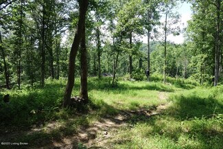 00000 Schlueter Rd, Demossville, KY 41033