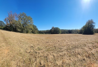 S S Laney Rd, Locust Grove, GA 30248