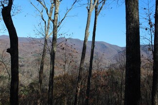 2 Gabriel Ridge, Hayesville, NC 28904