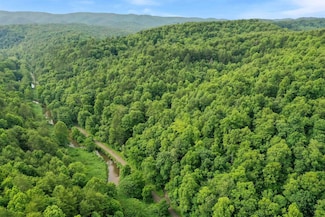TBD 98 ac. Deepwater Rd, Indian Valley, VA 24105