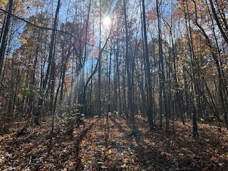 Lot 321 Hilltop Ln, Wilder, TN 38589