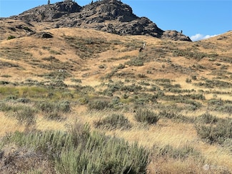 3 Gunsmoke Rd, Brewster, WA 98812