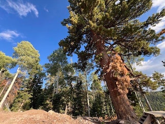 Ponderosa S West Village Dr, Beaver, UT 84713