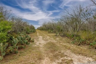 TBD Texas 239, Goliad, TX 77963