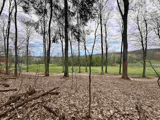 Unit 19 Forest Trail Unit 19, Custer Township, MI 49615