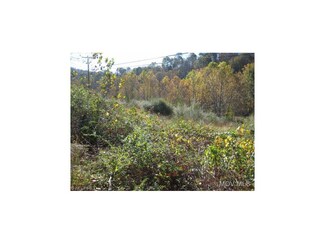 00 Rt 18, West Union, WV 26456