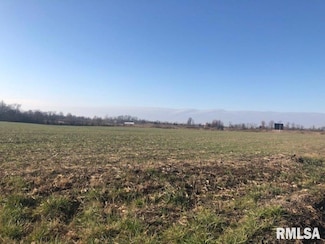 TBD E Harlan Rd, Mount Vernon, IL 62864