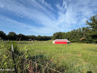 51 Gunter St, Lena, MS 39094