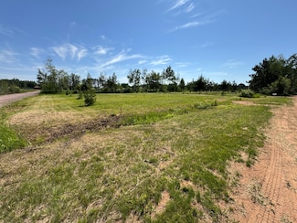 TBD-Lot D Burns St, Bruno, MN 55712