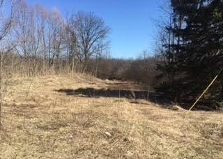 VL Lake Ln, White Lake Township, MI 48386