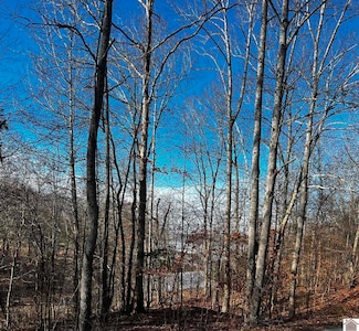 Lot 36 Canton Heights 2 Cir, Cadiz, KY 42211