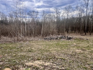 0 Tater Bug Ln Unit RTC2804634, Clifton, TN 38425