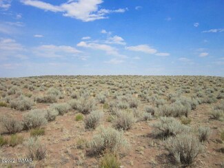 40 Acres S of the Petrified Forest, St. Johns, AZ 85936