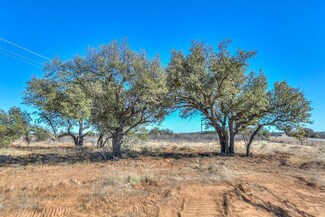 0 U S 84 Unit 89 acres 125062, Coleman, TX 76834