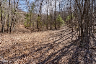 Lot 1,3,4 Callalantee Course, Mountain City, TN 37683