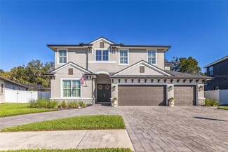 12425 Gentle Swan Place, Odessa, FL 33556